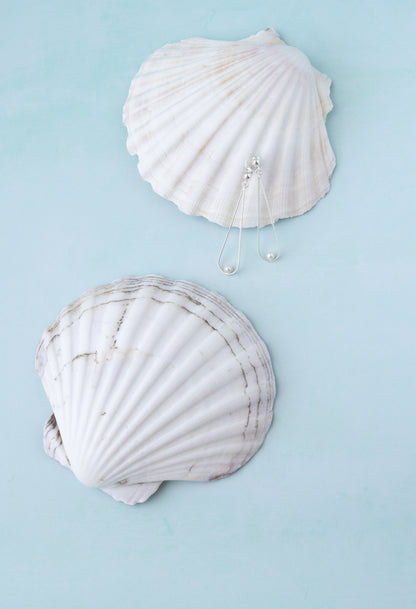 a pair of silver drop earrings on a blue background and 2 big white sea shells.